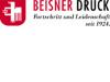 BEISNER DRUCK GMBH & CO KG