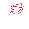 AGRISERVI