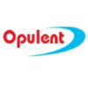 OPULENT COLLECTION LTD