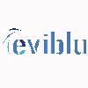 EVIBLU WEB MARKETING