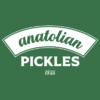 ANATOLIAN PICKLES GIDA TARIM TICARET LTD STI