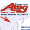 AMG INTERNATIONAL RELOCATIONS SRL