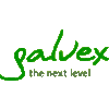 GALVEX GMBH