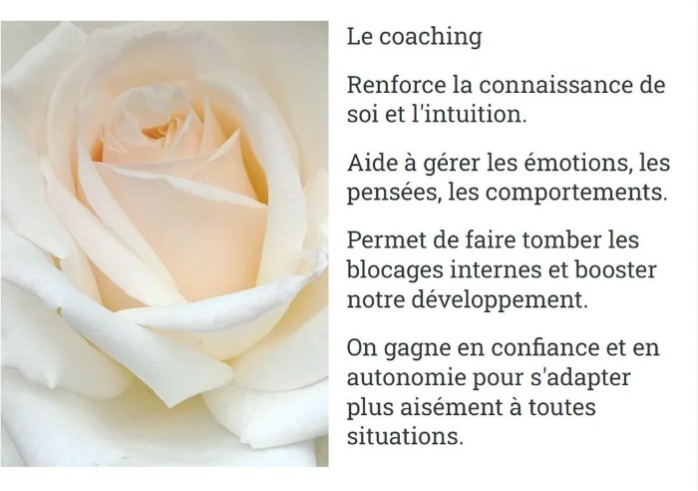 Le coaching